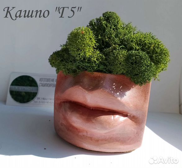 Кашпо со мхом