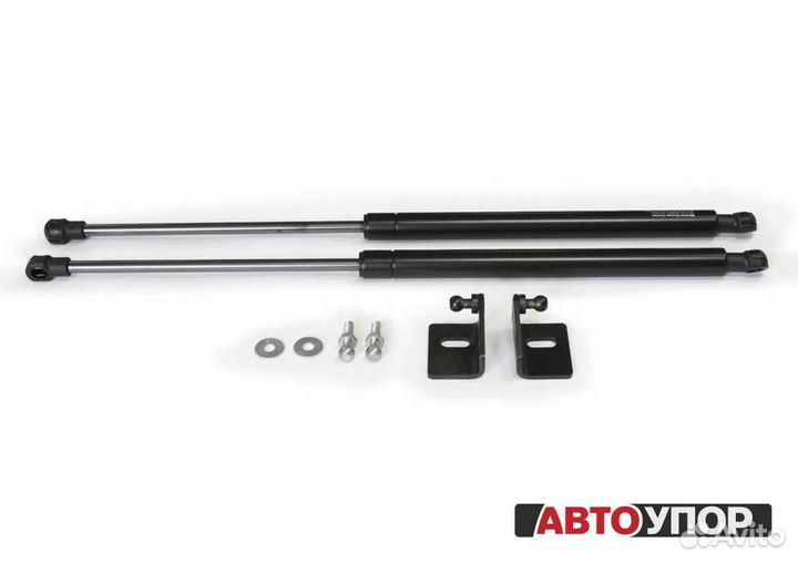 Газовые Упоры Капота Nissan Sentra B17 (2014-17)