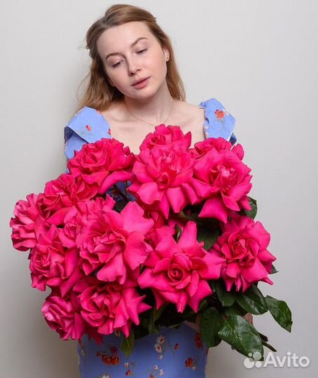 Ярко -розовая французская роза поштучно