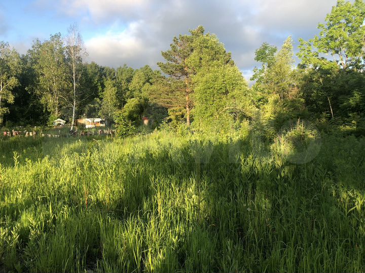 Участок 1,23 га (ИЖС)