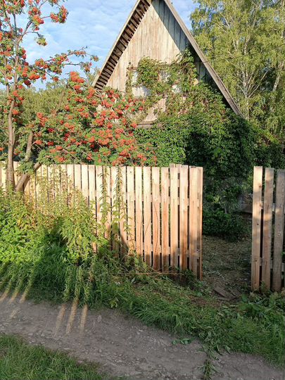 Дача 41 м² на участке 7 сот.