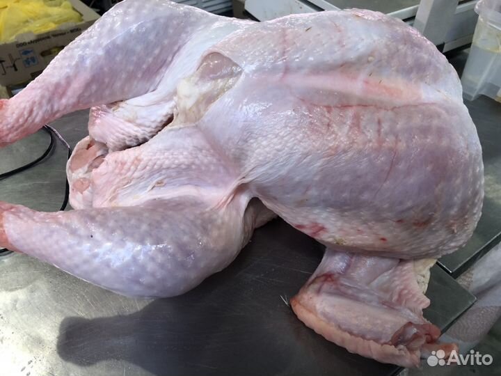 Индейка/Курица домашняя/Халяль/в агропарке