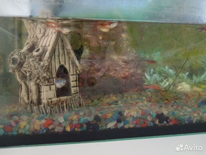 Аквариум