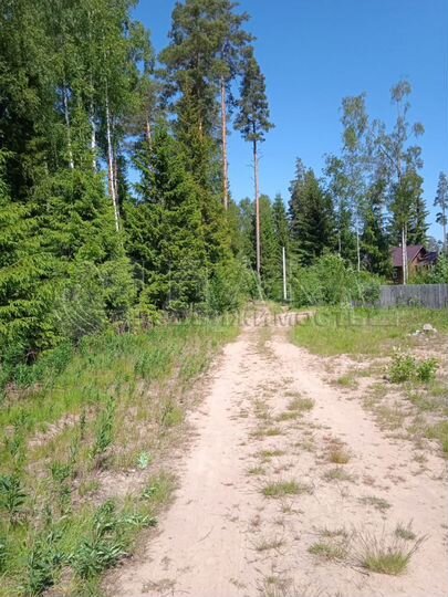 Участок 11,5 сот. (СНТ, ДНП)