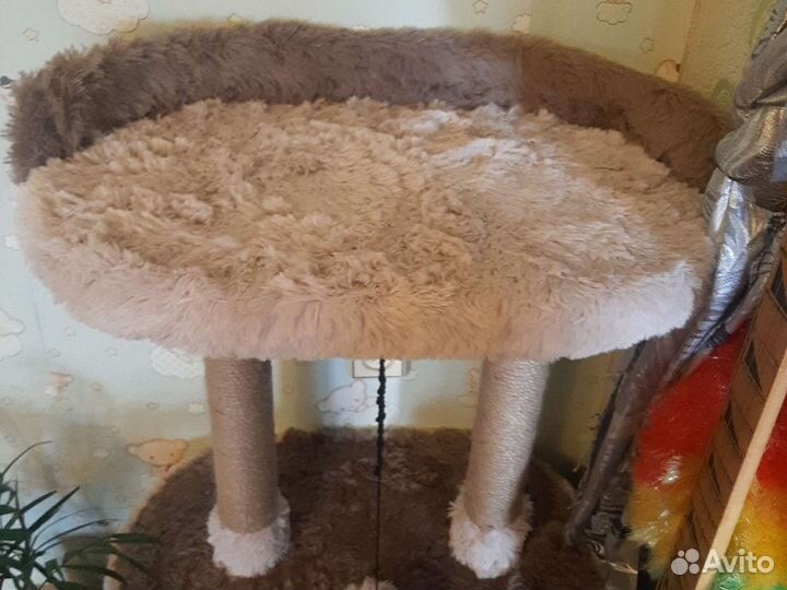 Кошачий домик