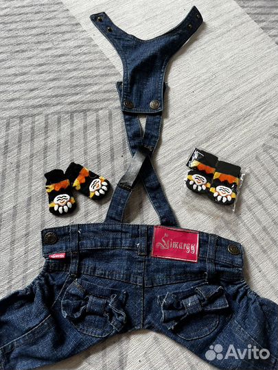 Одежда для собак мелких пород