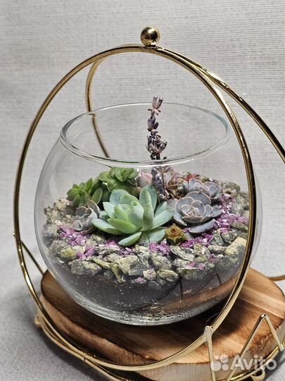 Цветы подарок для женщин