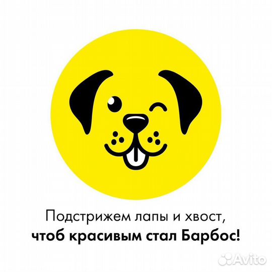 Помощник грумера