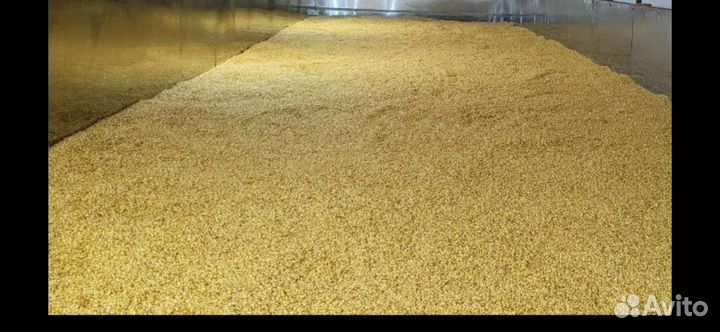 'Калининградский солод' - 'Прусский Солод'