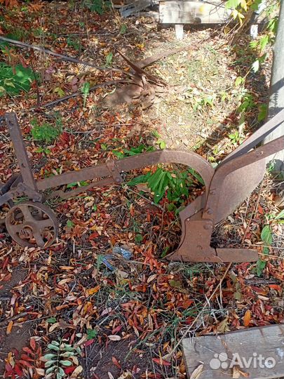 Предплужники