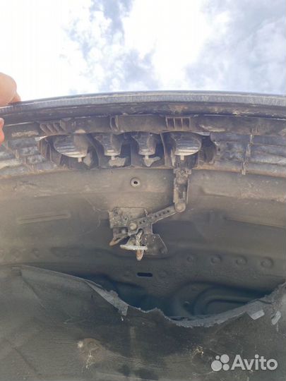 Капот Audi A6 C5 2.4 1999