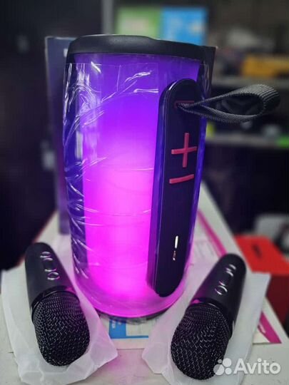 Караоке - Колонка с 2 микрамонами