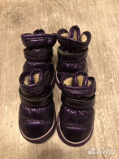 Ботинки для собак petmax