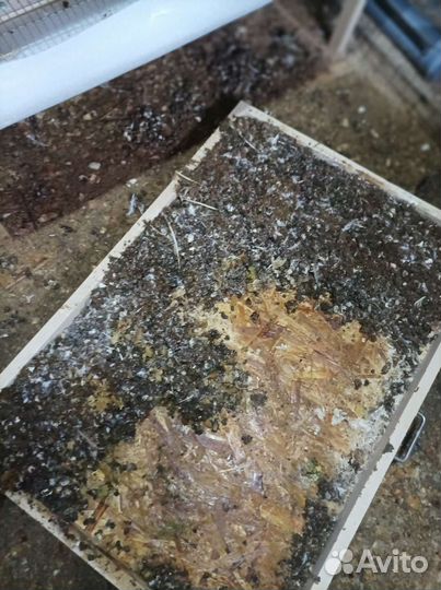 Куриный помет в мешках