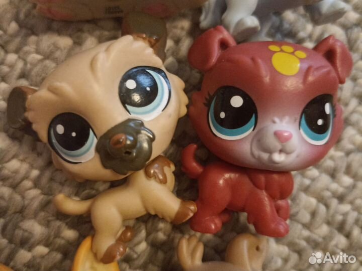 Littlest Pet Shop собаки лот