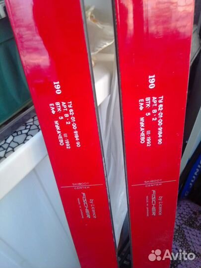 Горные лыжи