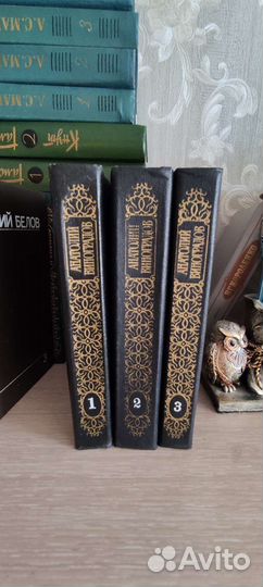 Анатолий Виноградов