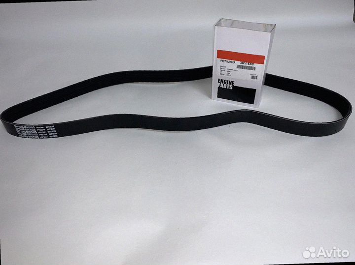 Ремень ручейковый 8PK15002 3911558 на Двигатель Cu