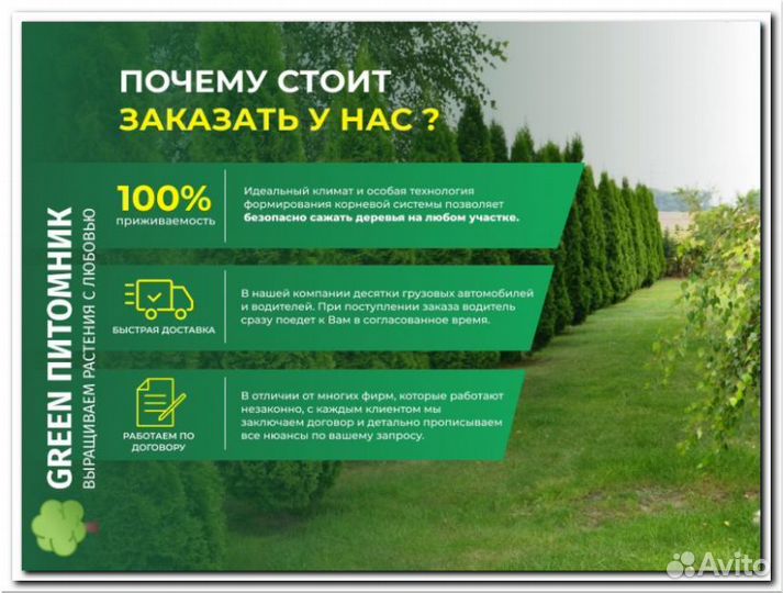 Смарагд,Брабант,Колумна