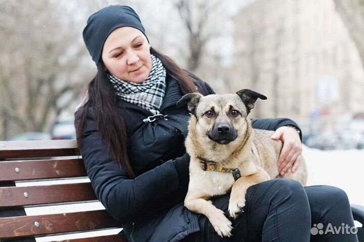 Малышка Софи в поисках дома