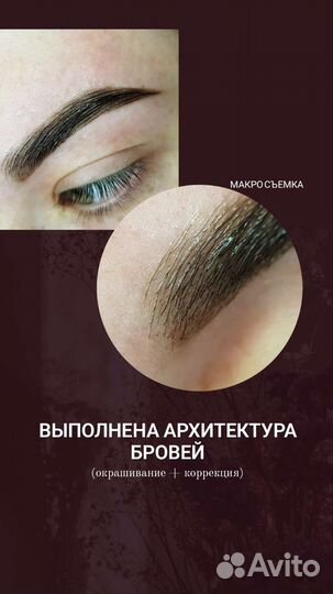 Архитектура бровей