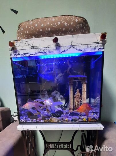 Аквариум