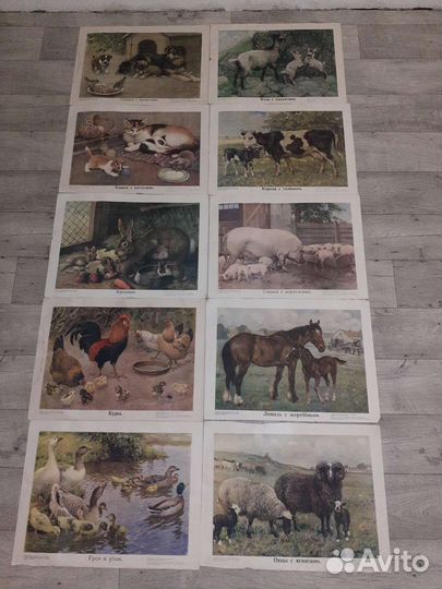 Картины для детских садов РСФСР 1948 год