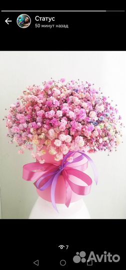 Цветы, композиции, гипсофила