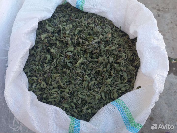 Душица. Къарачуп