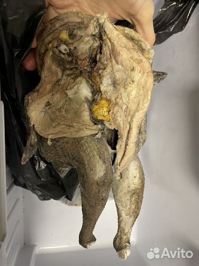 Курица домашняя аям-цимани