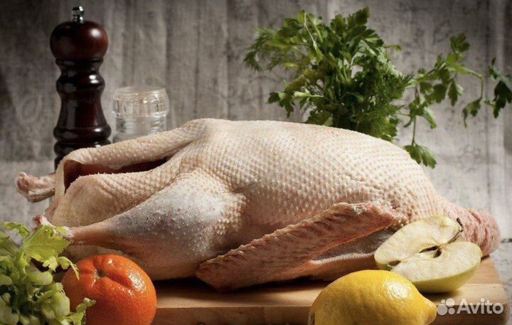 Домашний копченый гусь