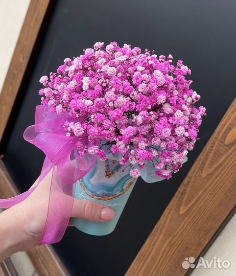 Гипсофила стаканчик