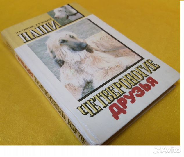 Наши четвероногие друзья. (О собаках и кошках)