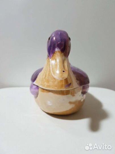 Уточка Кузнецова Редкая