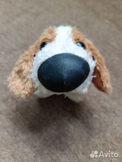 Журнал и собака The dog collection 1