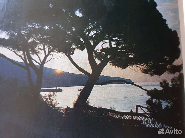 Редкие растения и животные Крыма,маршруты