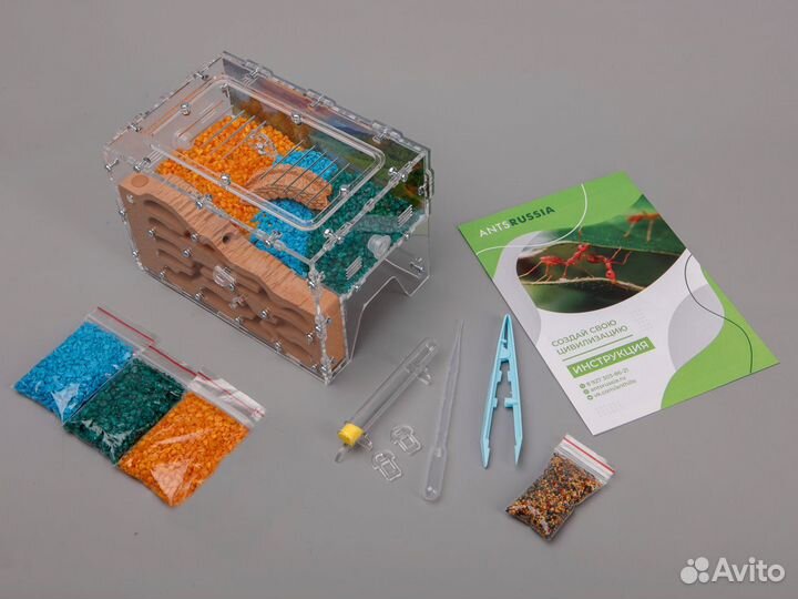 Муравьиная ферма Стандарт (Новые)