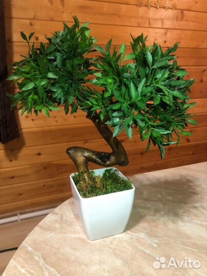 Дерево бонсай, бонсай искусственный