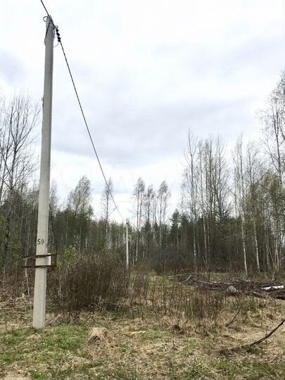 Участок 15 сот. (ИЖС)