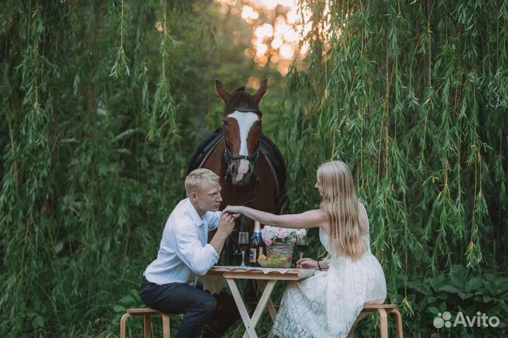 Романтическая прогулка на лошадях