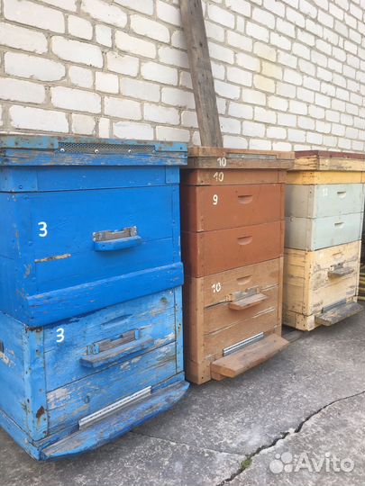 Ульи для пчел