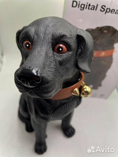 Блютуз колонка