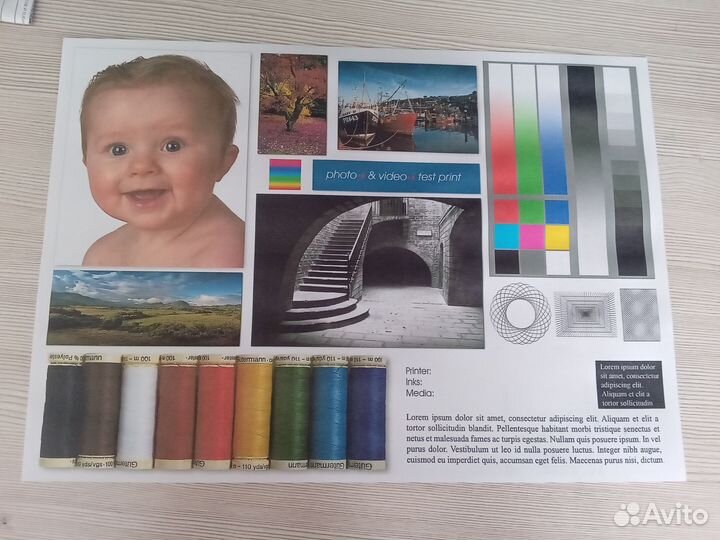 Цветной струйный принтер epson l110 С снпч