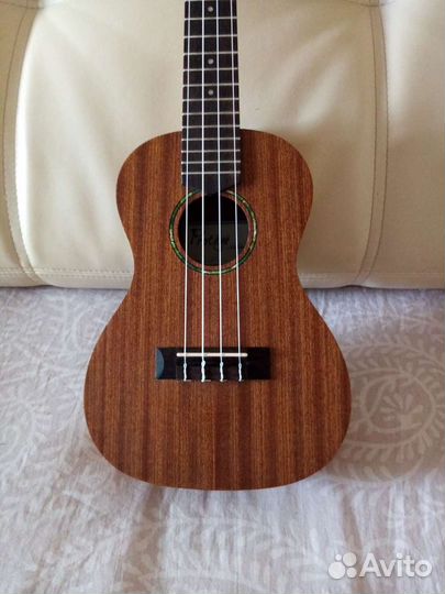 Укулеле концерт cordoba protege U1