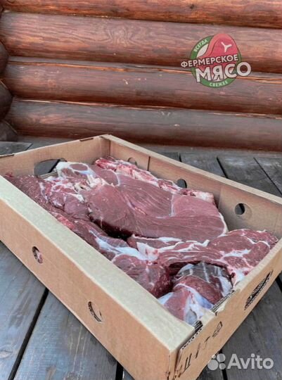 Мясо говядина