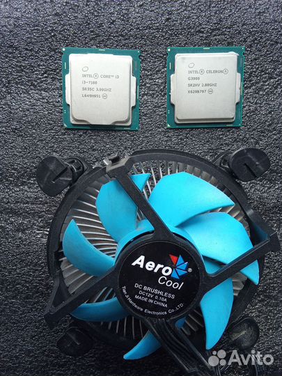 Процессоры i3 7100, g3900 и кулер
