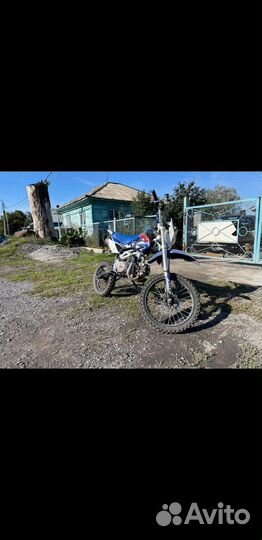 Пит байк kayo 125