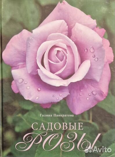 Книги и альбомы про розы. роза