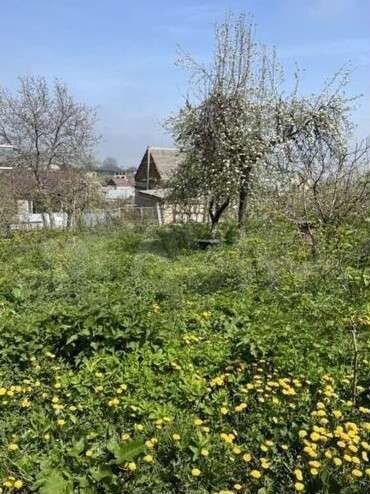 Участок 8 сот. (ИЖС)
