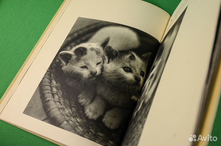 Самая милая книга на немецком. Винтаж